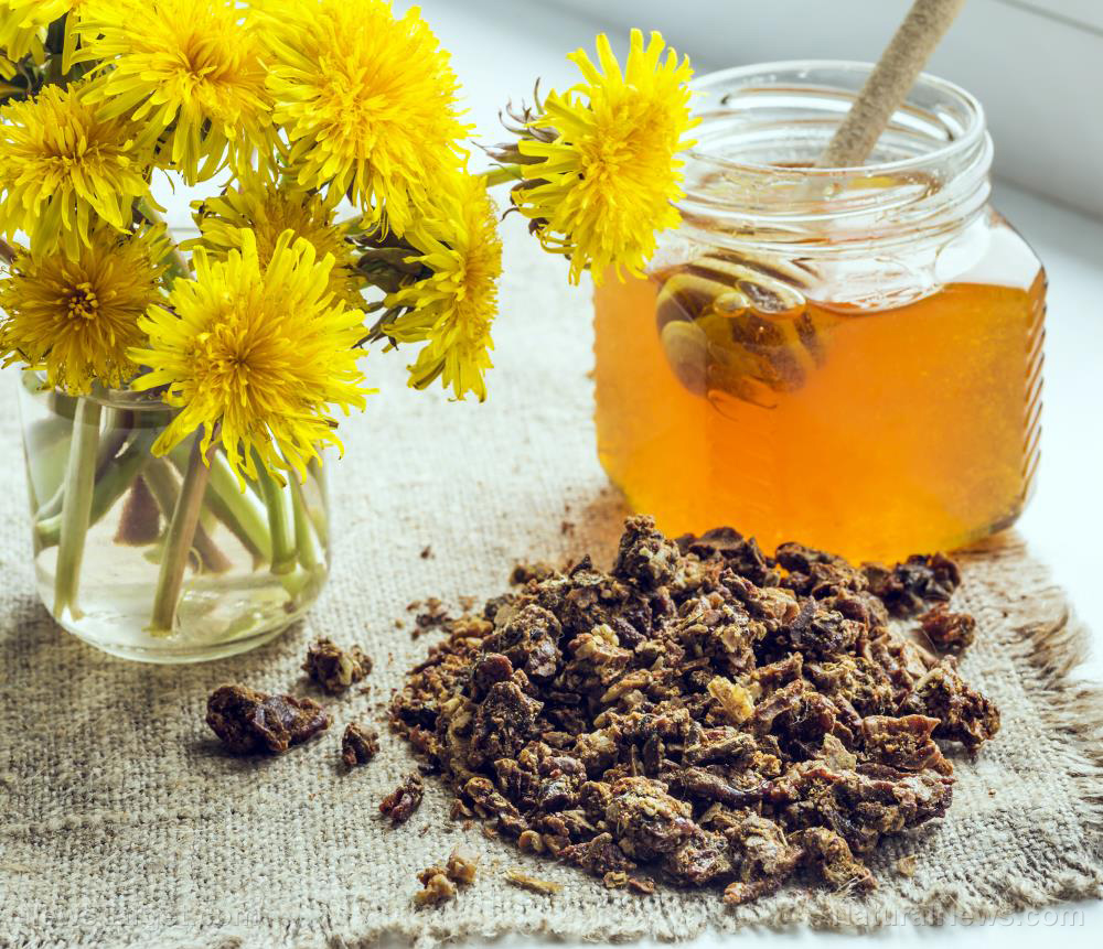 From hive to healing: The ancient bee product gaining modern medical validation