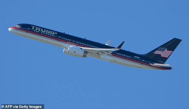 President Donald Trump has pushed for government jets to more closely resemble his private plane, 'Trump Force One,' which is a mirror image with its blue top and white belly