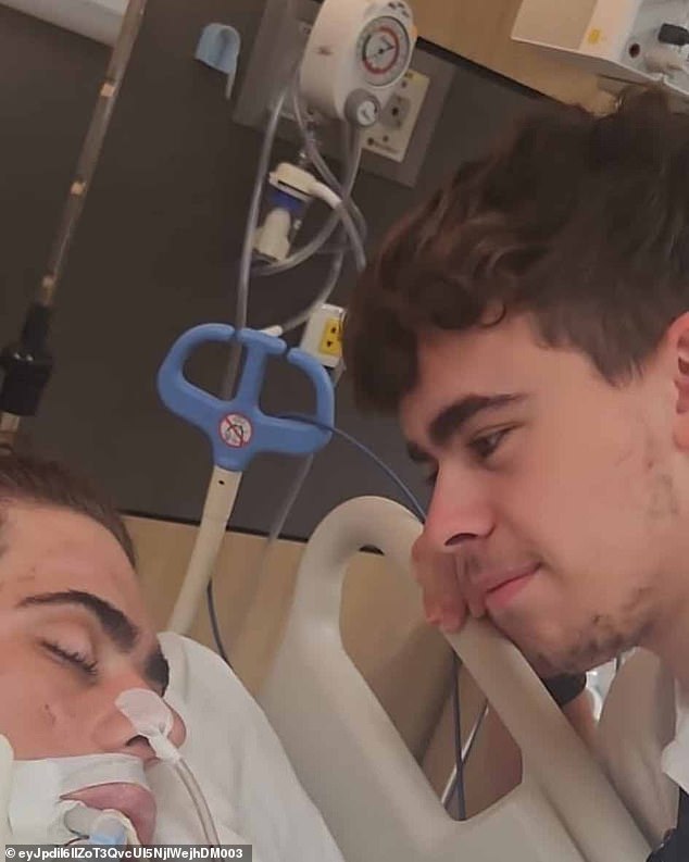 An injured Tiger was visited by his brother River at his hospital bed in Bangkok