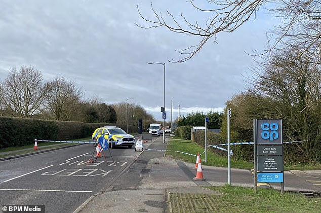 Girl, 11, and man, 45, killed in Chinese takeaway fire sparked by an air fryer