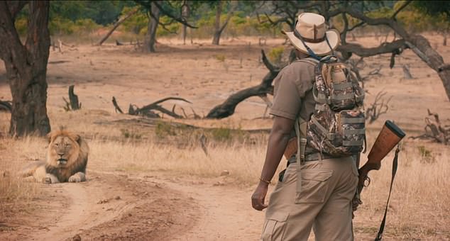 Celebrities including Cara Delevingne, Joanna Lumley, and Ricky Gervais expressed widespread outrage following the 2015 killing of 12-year-old Cecil, with Delevingne labelling hunter Walter Palmer a 'poor excuse of a human being'