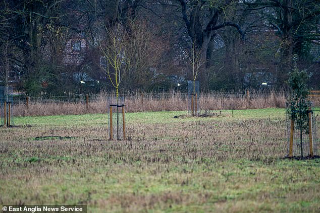 Lots of cars were lined up on the drive at Wood Farm with their headlights on. Searches are underway