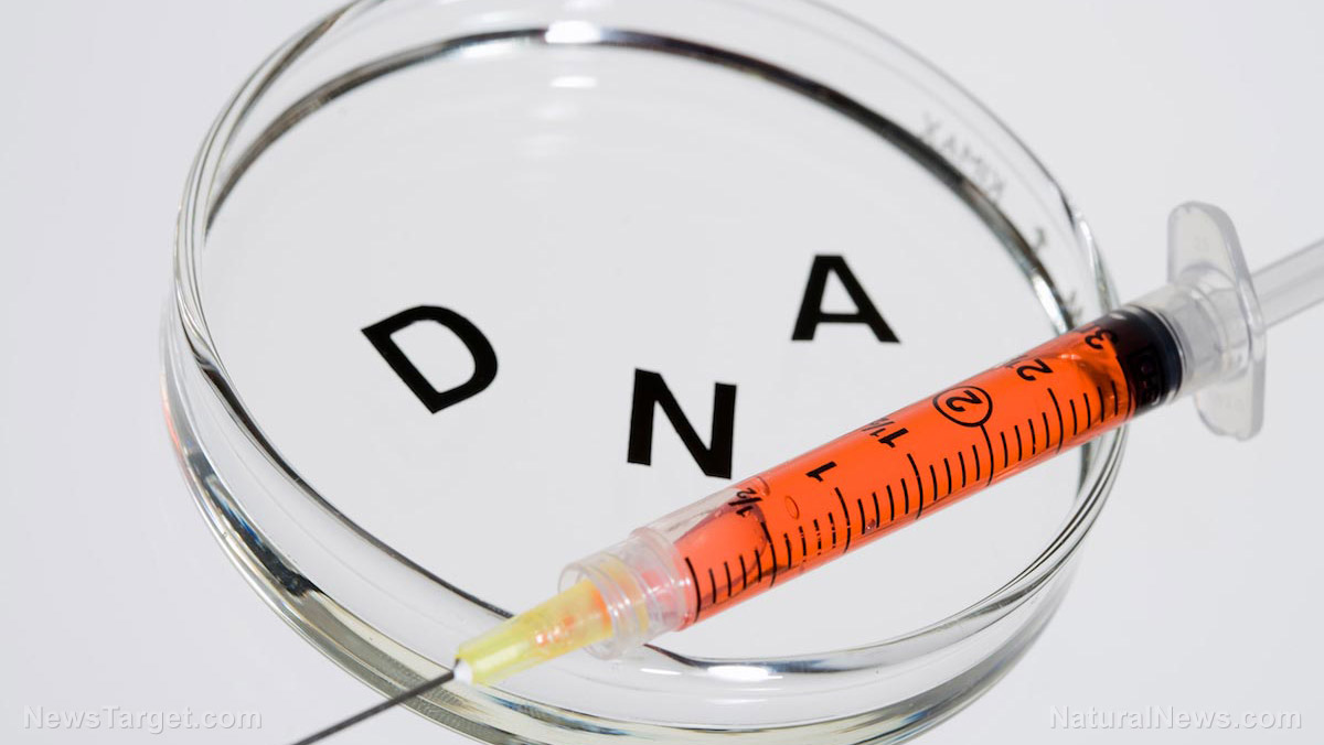 DNA match eludes investigators in Nancy Guthrie case, sheriff confirms