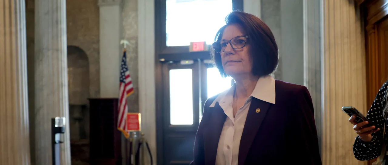 Democrat Says Her Party Needs To Secure Border But Still Axe ICE Funding