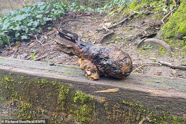 The River Stour was used for military training during WWII, meaning the bomb (pictured)  is likely to be British