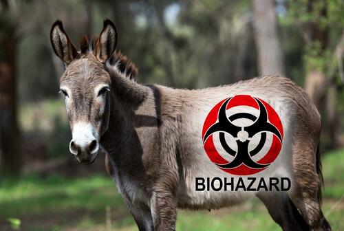 Do Democrat Cities And States Love Rolling In Their Own Filth?