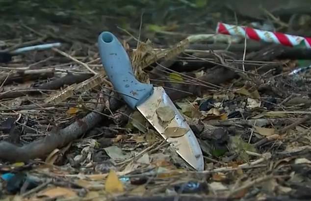 Detectives seized a knife from a garden in the suburb which has been taken for testing