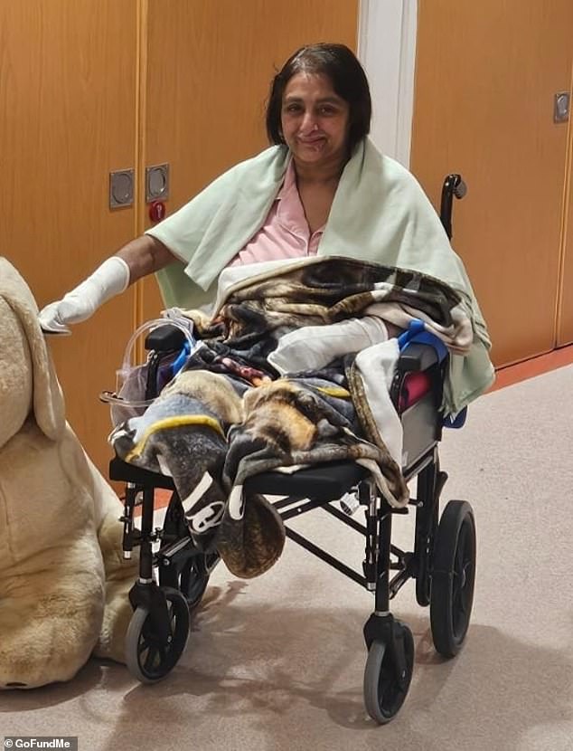 Woman loses all her limbs 'after being licked by a dog' in devastating case of sepsis that caused her heart to stop six times in intensive care