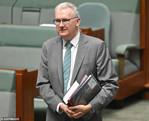 Why the Albanese government is powerless to stop 'ISIS brides' returning to Australia - as Opposition calls for passport law change