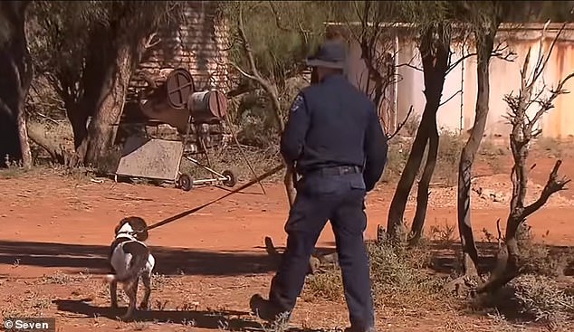 A NSW Police cadaver dog, brought in from interstate, scoured Bullyaninnie on Monday