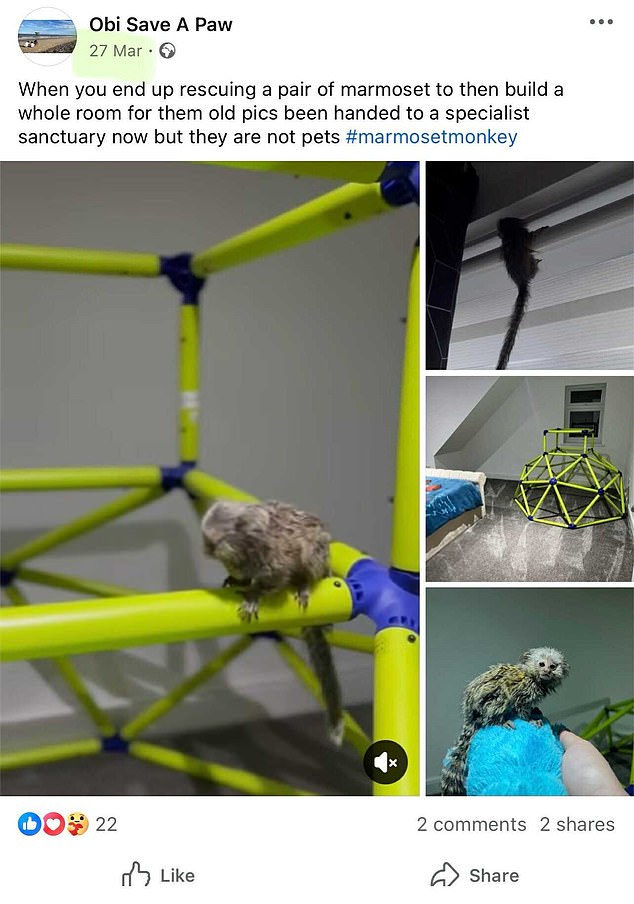Rahman posted on Facebook about the Marmoset monkeys left in his care