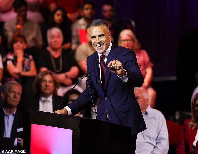 One Nation is slammed by South Australian Premier as the minor party is tipped to see surge of voter support: 'Division and tribalism'