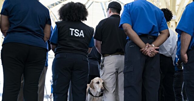 'Endangers Our National Security': Democrats Blamed as TSA Programs Suspended amid Government Shutdown