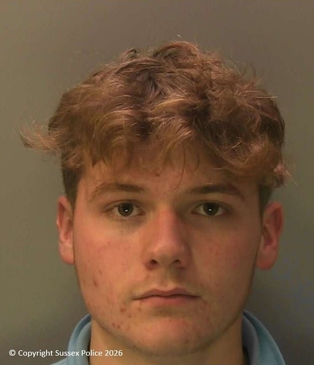 Two students who blew up sheep with fireworks after beating and kicking it in 'violent assault' are locked up