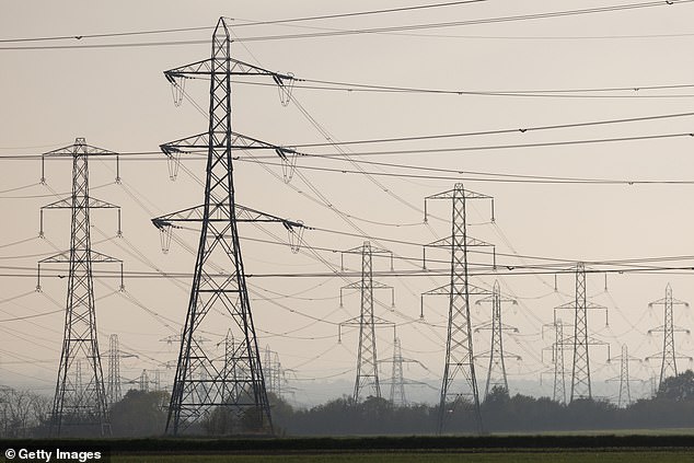 The Energy Secretary was told the vast data centres needed for AI systems will require more energy than is currently used by the whole country