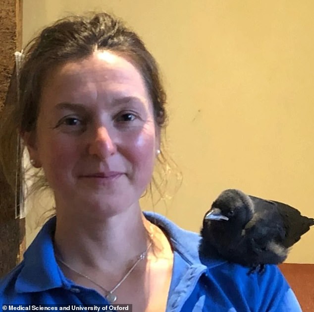 Katy Gordon-Quayle, 43, was told by her local council to cut the plant which was affixed to her Grade II thatched property