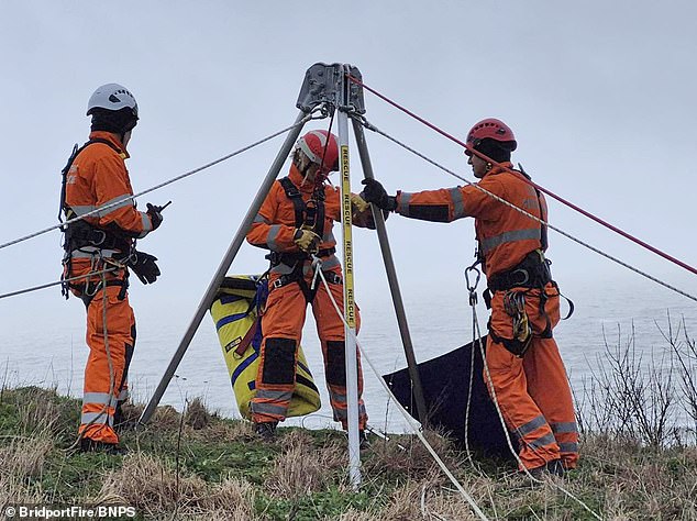 Rope rescue teams carried out a 'coordinated pincer movement' and eventually managed to retrieve the dog unharmed