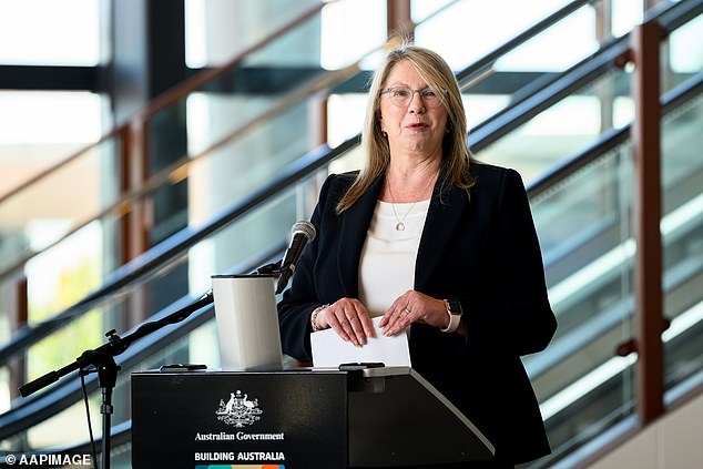 Transport Minister Catherine King has detailed the development phase for the high-speed line