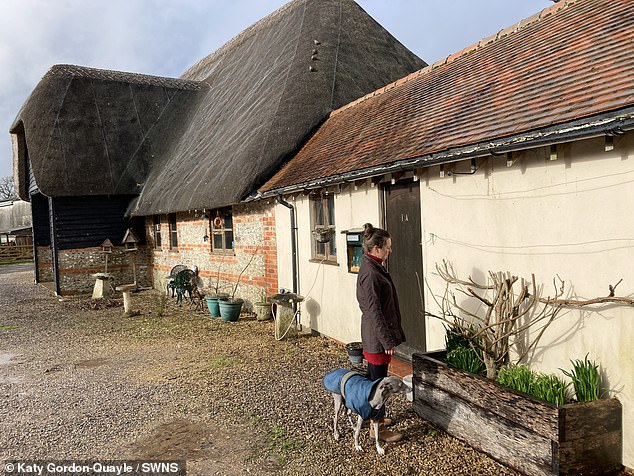 The council insisted that the wisteria was allowing rats access into neighbouring properties – despite pest controllers disputing the claim