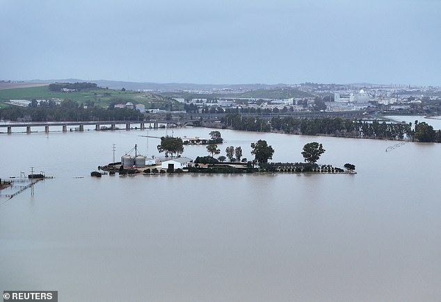 A farm surrounded by flooding after Storm Marta hit Jerez de la Frontera in Spain on February 8