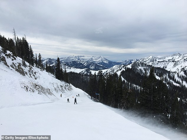 According to the Unified Police Department of Greater Salt Lake, Eitas's family, who she was skiing with at the time began the search with more 20 citizens (Wasatch Front Rocky Mountains, Brighton Ski Resort, close to Salt Lake)