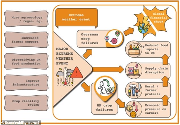 The impact of an extreme weather event on food security is shown in the above diagram
