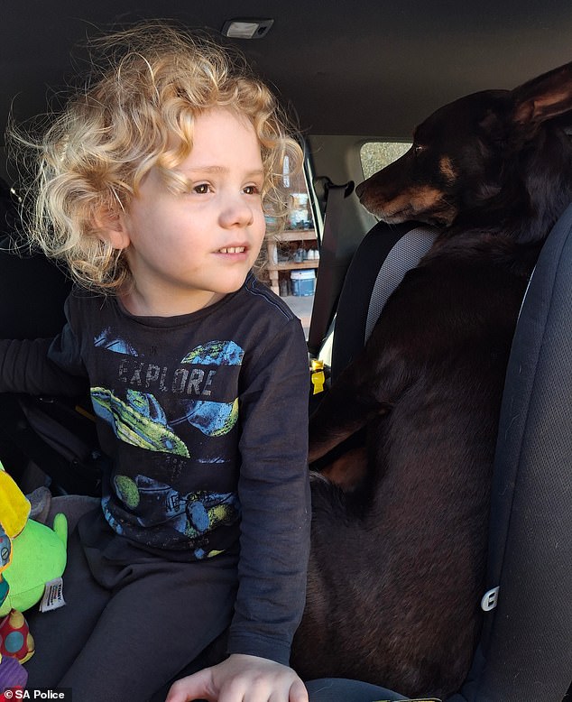 Heartbroken parents of missing Gus Lamont finally break their silence to beg for help - as new photos emerge of the adorable four-year-old