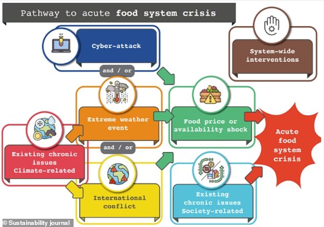 An overview of the existing chronic issues and acute triggers and how they are connected