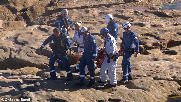 It is unclear how severe the boy's injuries were