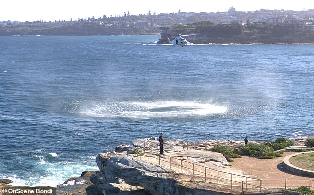 Emergency services were called to the scene, near Bondi Beach, shortly before 4pm