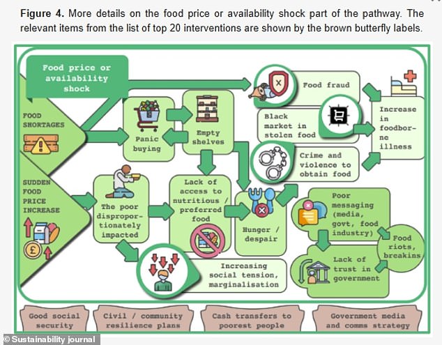 Further details on the food price or availability shock part of the pathway towards possible riots