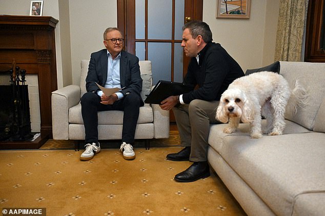 Albanese (pictured at The Lodge with Treasurer Jim Chalmers in August) was removed from his home shortly before 8.40pm on Tuesday