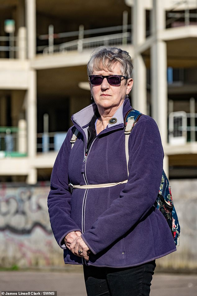 'It's an ugly edifice, for a start,' Gillingham resident Susan Warner (pictured) said