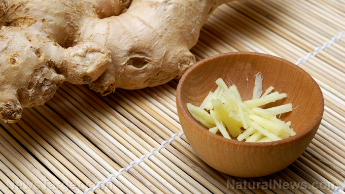 Nature’s dynamic duo: Study reveals ginger and garlic combo packs a powerful synergistic punch