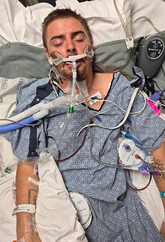 Tree surgeon father aged just 21 is paralyzed in freak accident while doing job that he loved