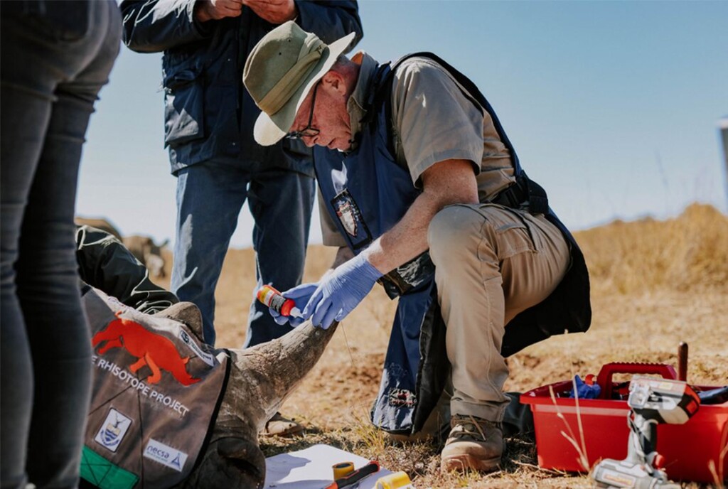 Radioactive Isotopes Being Embedded in Rhino Horns Seen as ‘Magical’ Anti-Poaching Solution