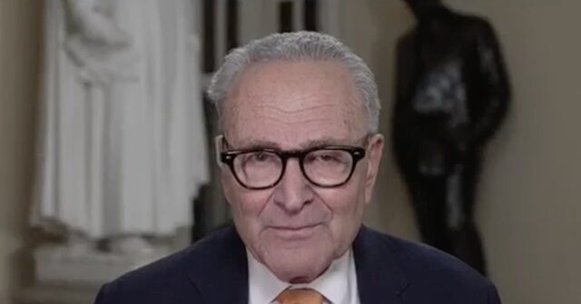 Schumer: 'Legitimate and Right' Dems Didn't Stand at SOTU for Protecting Americans