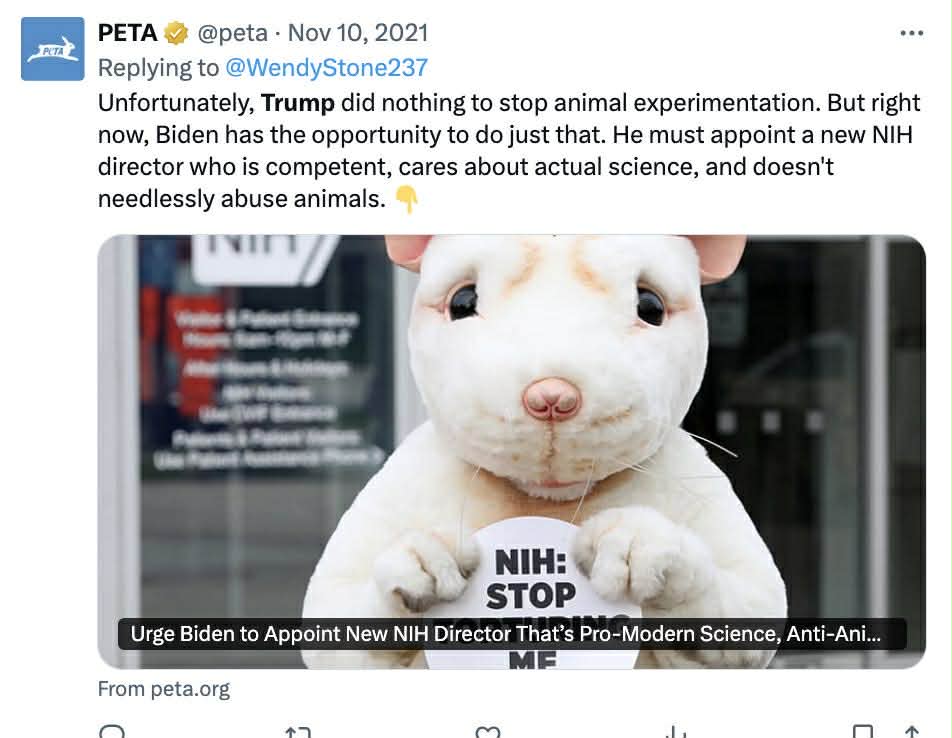 PETA protester dressed as a rabbit holding a sign urging the appointment of a new NIH director to end animal experimentation.