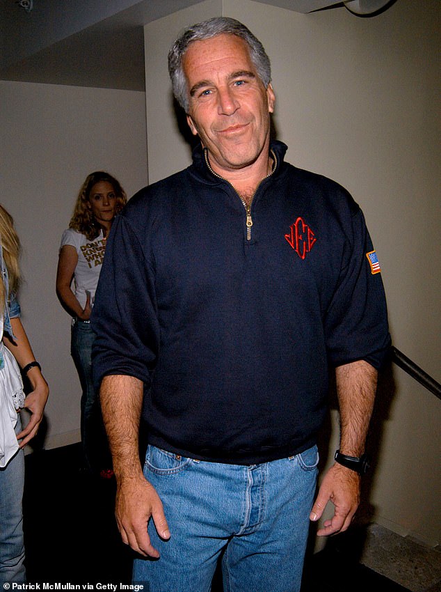 Jeffrey Epstein, seen at an event at an NYC hotel in 2005, hosted Hawking at his science conference in the US Virgin Islands in March 2006