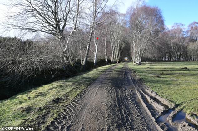 The murder took place in a remote country track in Perthshire, Scotland, where the retired groundsman was known to regularly walk his dog