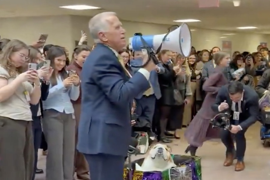 RINO Senator Panned For Hosting Capitol Hill Dog Show As SAVE Act Debate Rages