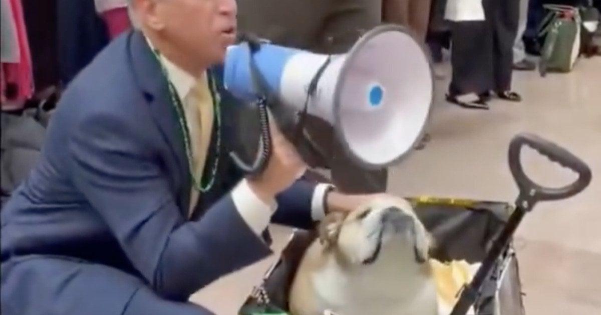 UNREAL: After Saying There Was NO TIME To Vote On The SAVE Act, Sen. John Thune Hosts A “Dog Parade” For Congress