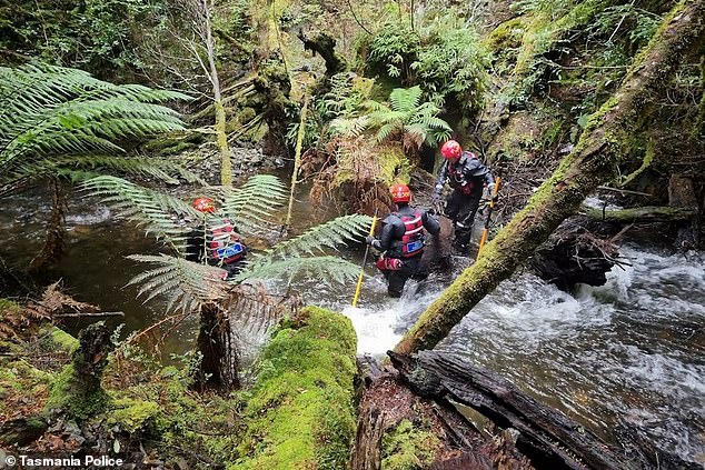 No further searches of the Arthur River are planned