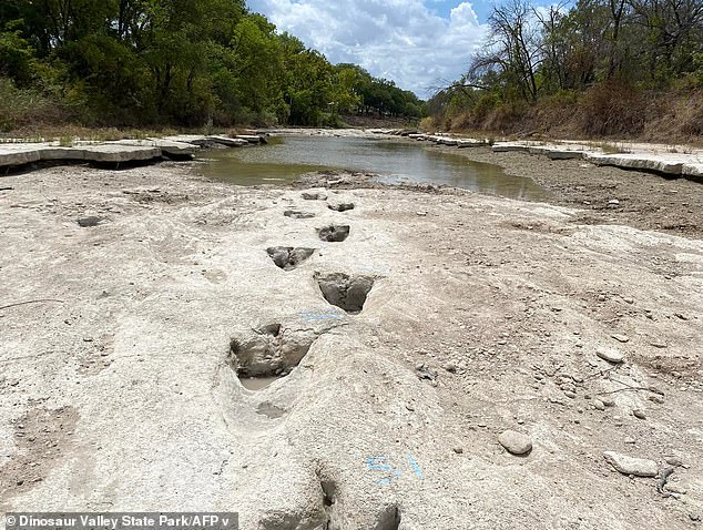 Fury as 100 million year old dinosaur park could be DESTROYED by new AI data center