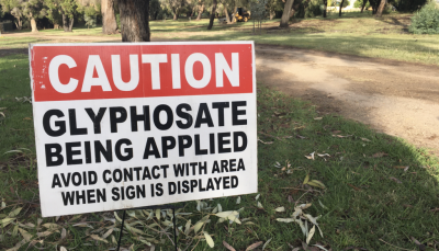 Glyphosate Exposure and Non-Hodgkin Lymphoma Risk: A Crisis in Plain Sight