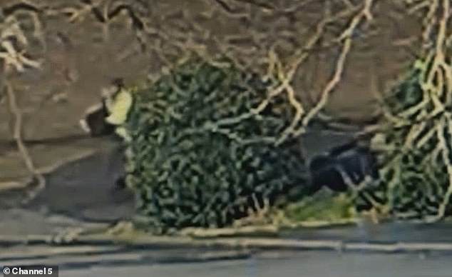 Mikulski (left) stabs Jeff (right) behind a bush - and the guard is seen collapsing to the floor