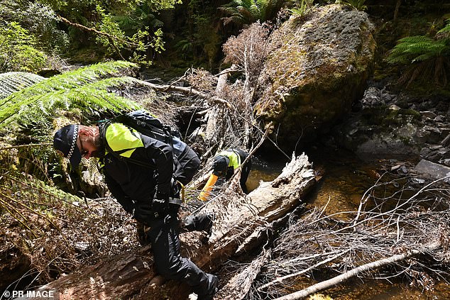 Search teams made a breakthrough in January after a bushwalker discovered bones on a stretch of Arthur River