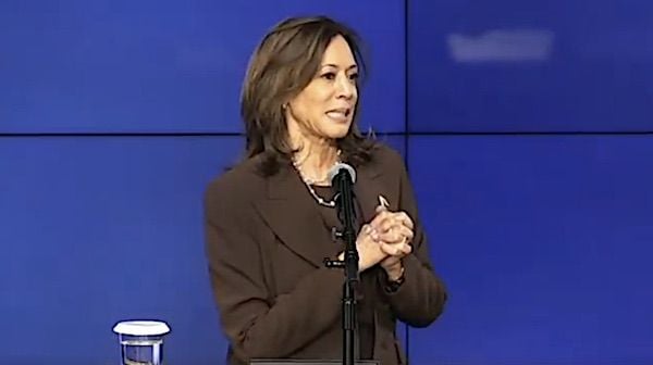 Kamala Harris insists 40% in United States can’t document birth circumstances
