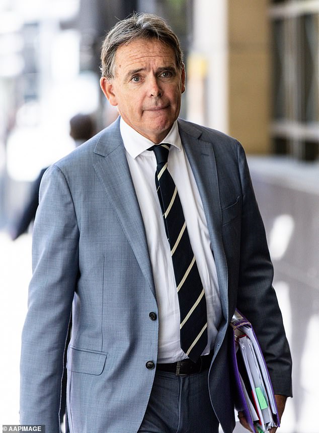 Criminal barrister Dermot Dann KC (above) represented Lynn