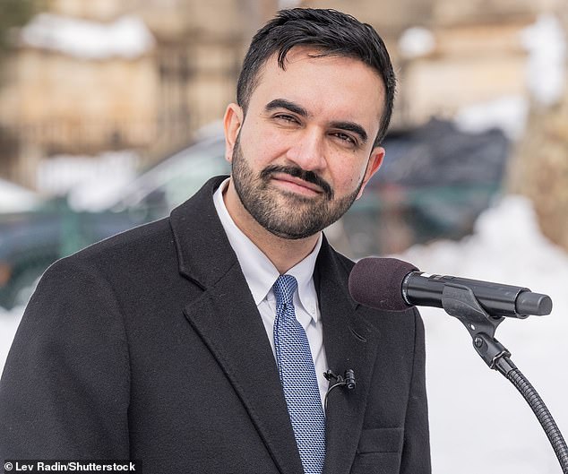 Mayor Zohran Mamdani applauded the development, calling it 'more than just an investment' in the city of over eight million